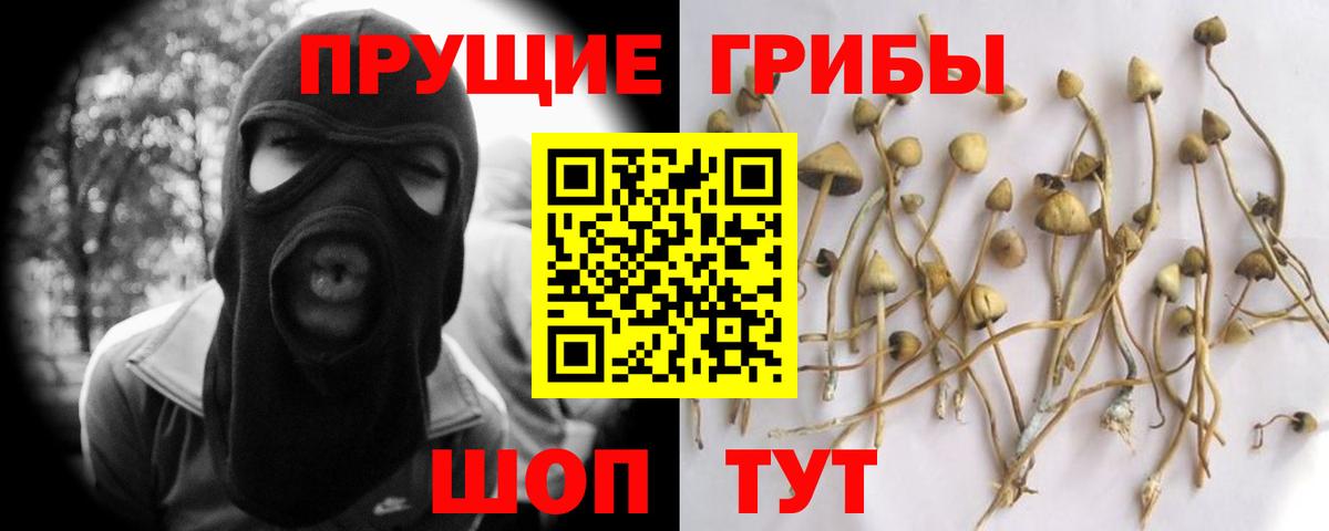 Псилоцибиновые грибы Magic Shrooms  Вход с VPN  Сарапул 